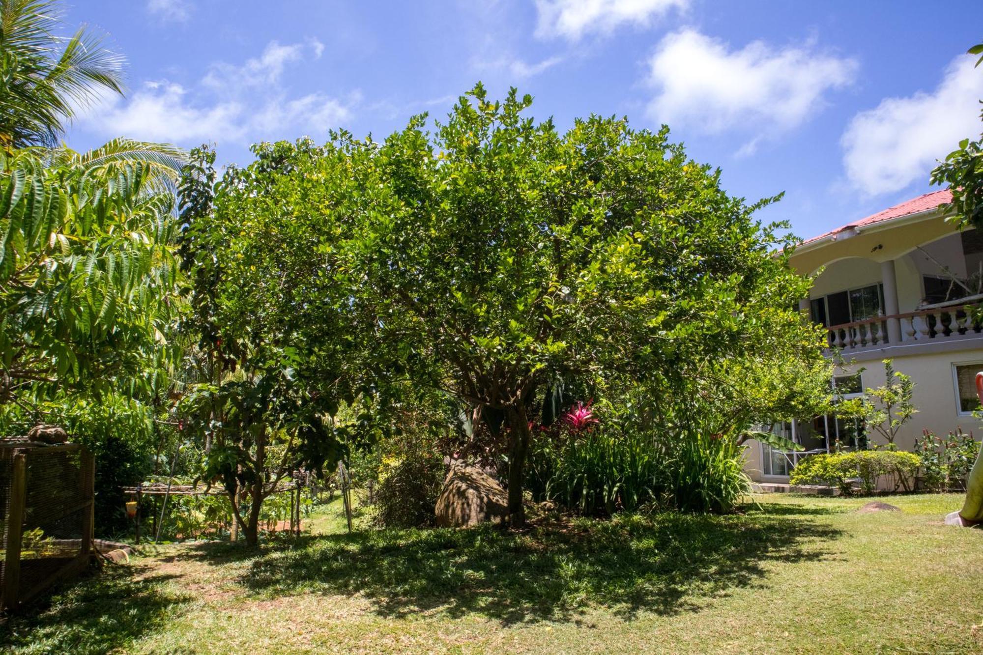 טקמק Domaine Desaubin Luxury Villas מראה חיצוני תמונה